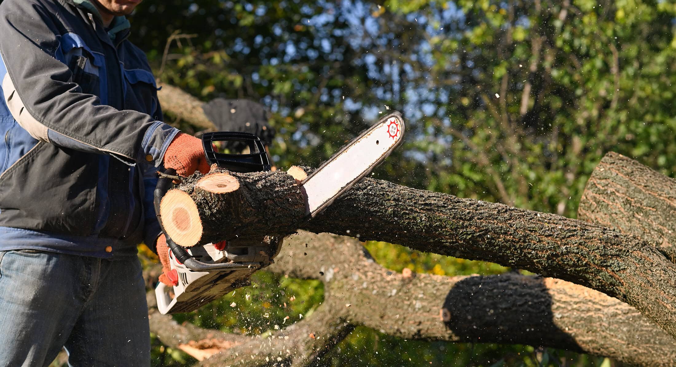 Custom residential home with several lights on